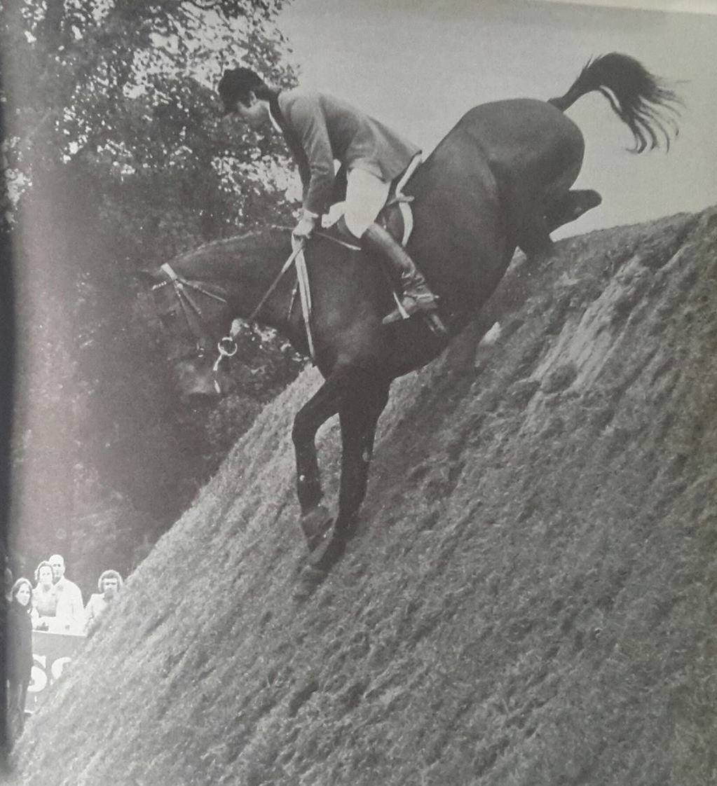 Graham Fletcher - Buttevant Boy - Hickstead Derby Bank